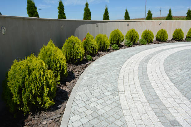 Reasons to Select Us for Your Driveway Paving Requirements in Red Corral, CA